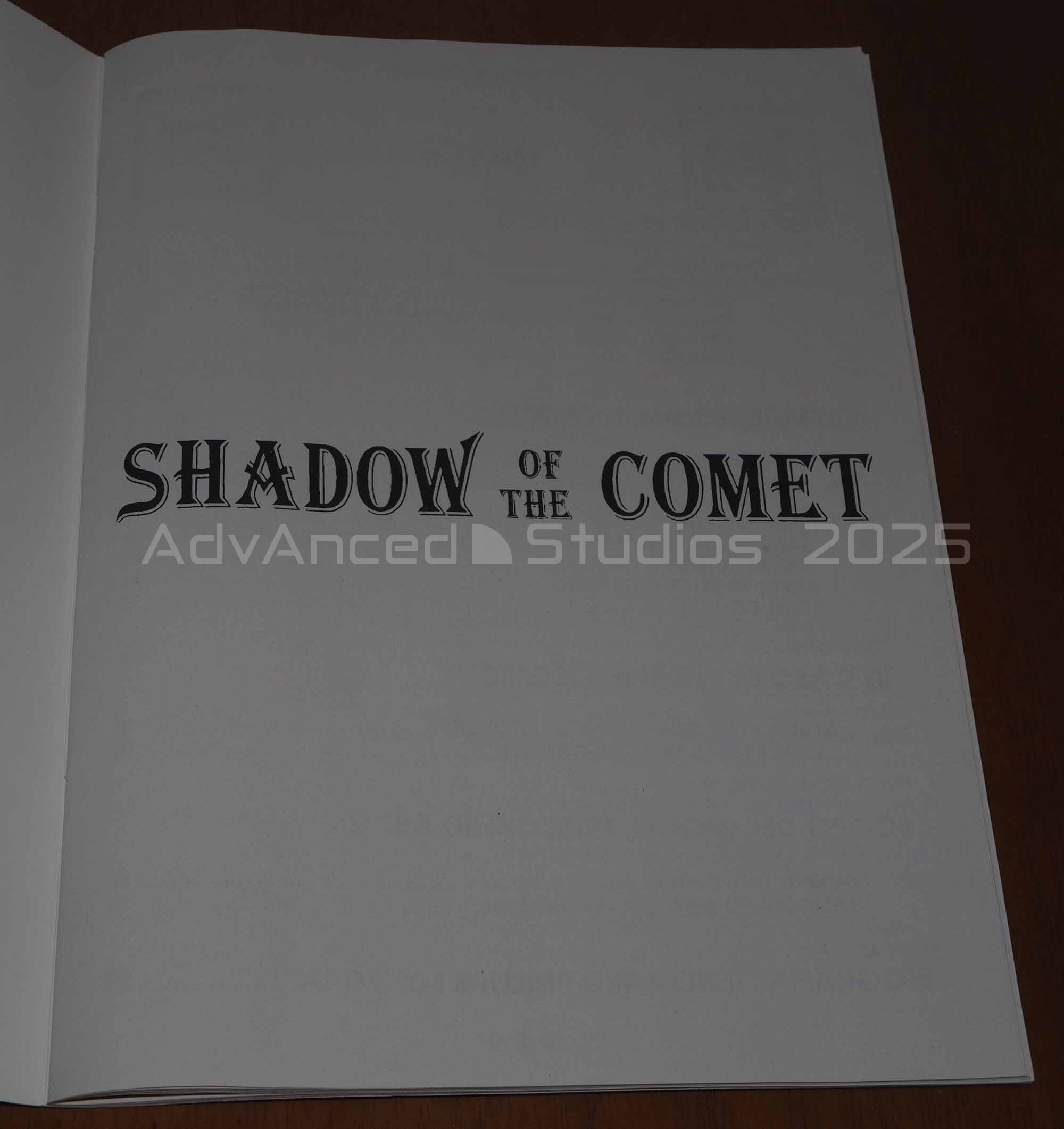 shadowofthecometes_11.jpg