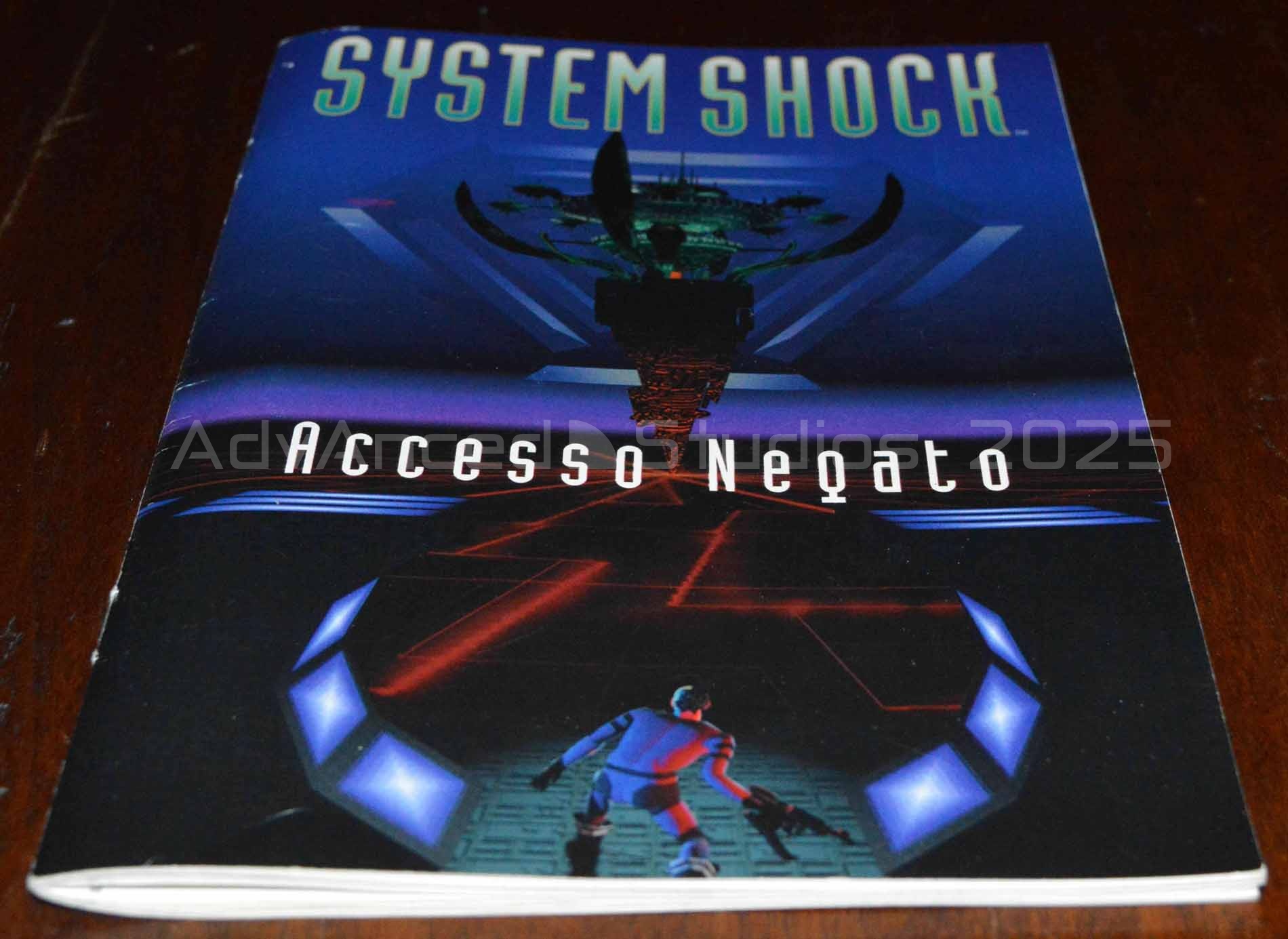 systemshockprimaedpc_7.jpg